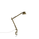 The medium brown green Dedicate Table Lamp from Muuto with the clamp base.