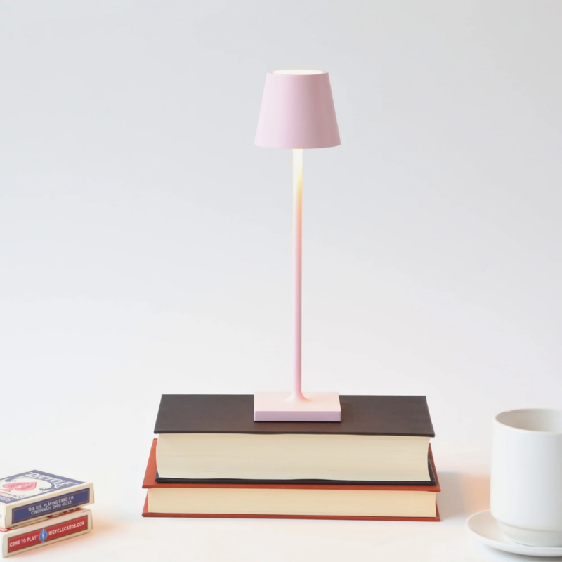 The pink Poldina Pro Micro from Zafferano on a stack of books.