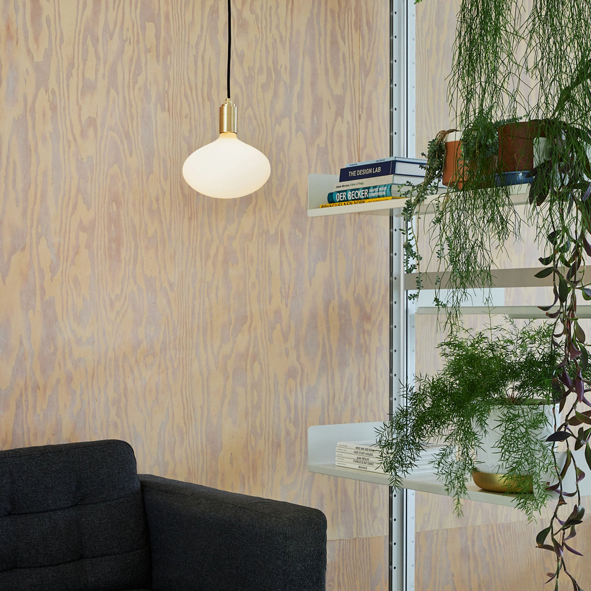 The Oval II E26 LED Bulb by Tala Lighting in a brass pendant fixture in a living room.