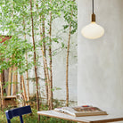 The Oval II E26 LED Bulb by Tala Lighting in a brass pendant fitting.