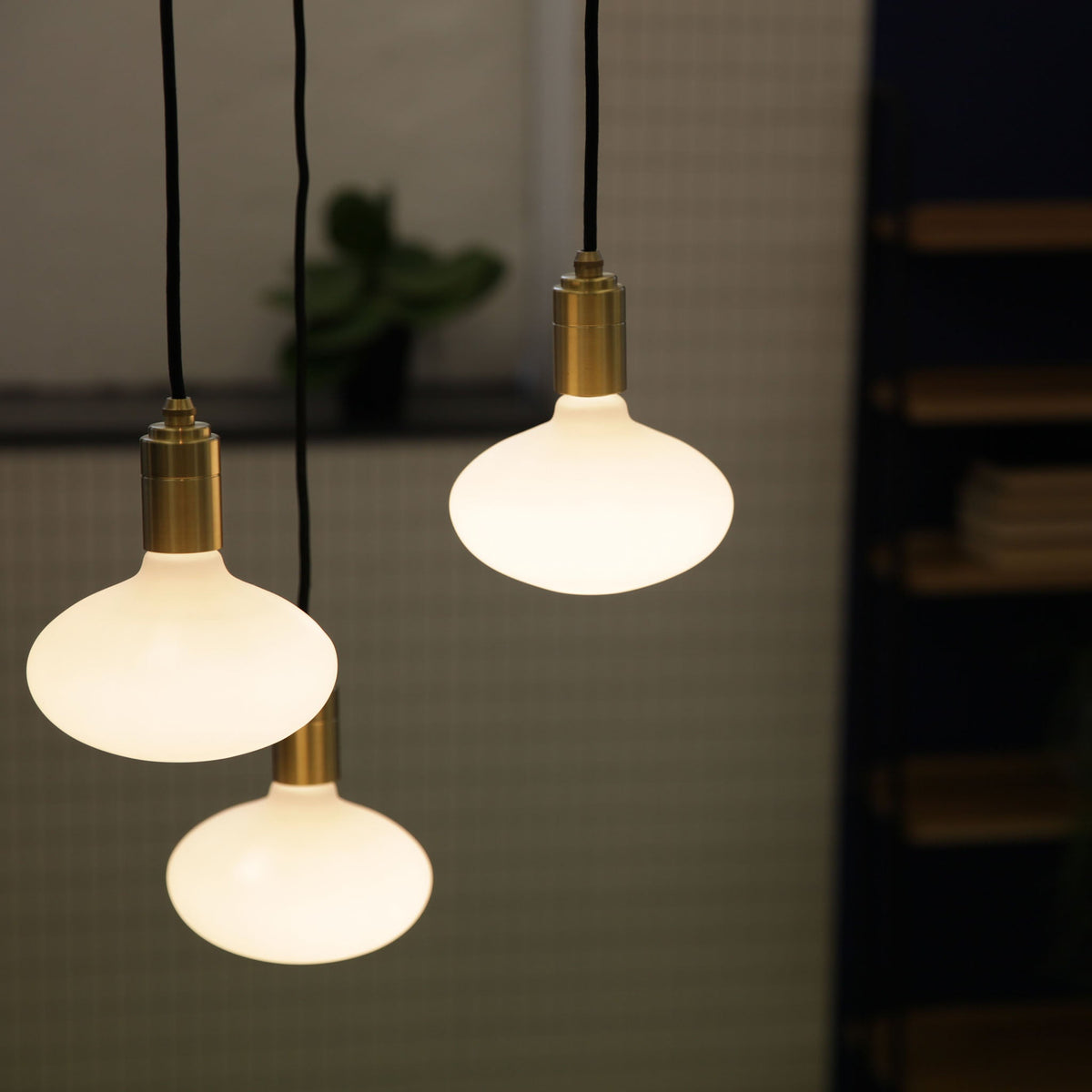 The Oval E26 Dim-to-Warm LED Bulb by Tala Lighting in a living room.