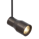 The Ace Head MonoPoint from Visual Comfort and Co in antique bronze.