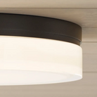 The Cirque Flush Mount from Visual Comfort and Co in a close up photograph.