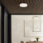 The Cirque Outdoor Flush Mount from Visual Comfort and Co in a living space.