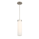 The 16 inch Elementum Mini Pendant from WAC lighting.