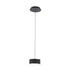 The Ohm Mini Pendant from WAC Lighting.