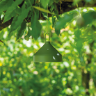 The mint green Amelie Pro Hanging Lamp from Zafferano in a family area.