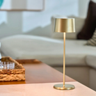 The satin brass Olivia Pro cordless lamp from Zafferano in a professional lounge.