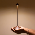 The rust Pina Pro from Zafferano, a cordless lamp.