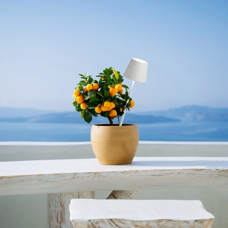 The white Poldina Pro Peg Magnetic from Zafferano outdoors on a restaurant counter.
