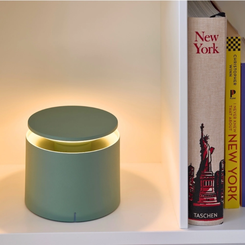 The sage PushUp Pro from Zafferano in a home office.