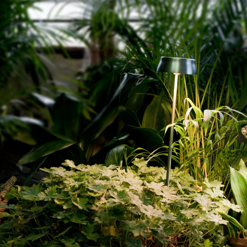 The anodized green Sister Light Peg from Zafferano in the outdoor garden.