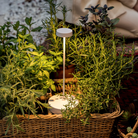 The white Swap Pro from Zafferano in a living room.