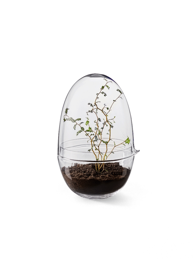 Caroline Wetterlings Grow is made of two glass parts. The bottom part holds the soil and the plant. The top part is a lid equipped with a spout, allowing it to be used as a watering can. It also functions as a valve that lets in air and regulates the moisture and temperature levels inside the greenhouse. Grow is made of hand