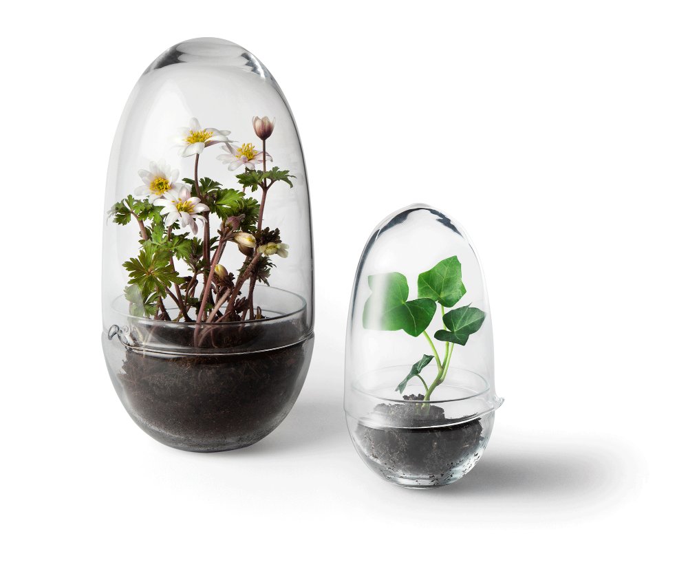 Caroline Wetterlings Grow is made of two glass parts. The bottom part holds the soil and the plant. The top part is a lid equipped with a spout, allowing it to be used as a watering can. It also functions as a valve that lets in air and regulates the moisture and temperature levels inside the greenhouse. Grow is made of hand