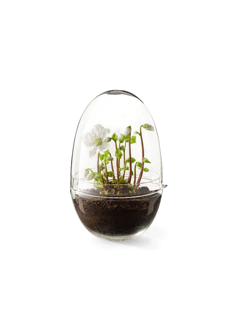 Caroline Wetterlings Grow is made of two glass parts. The bottom part holds the soil and the plant. The top part is a lid equipped with a spout, allowing it to be used as a watering can. It also functions as a valve that lets in air and regulates the moisture and temperature levels inside the greenhouse. Grow is made of hand