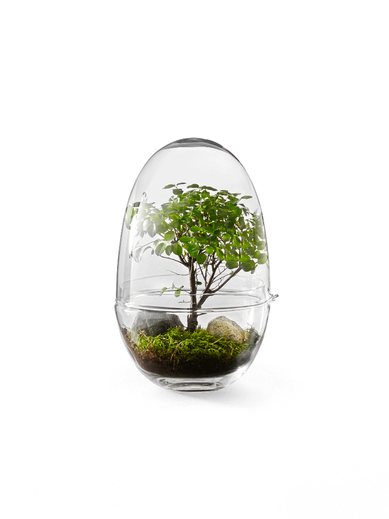 Caroline Wetterlings Grow is made of two glass parts. The bottom part holds the soil and the plant. The top part is a lid equipped with a spout, allowing it to be used as a watering can. It also functions as a valve that lets in air and regulates the moisture and temperature levels inside the greenhouse. Grow is made of hand