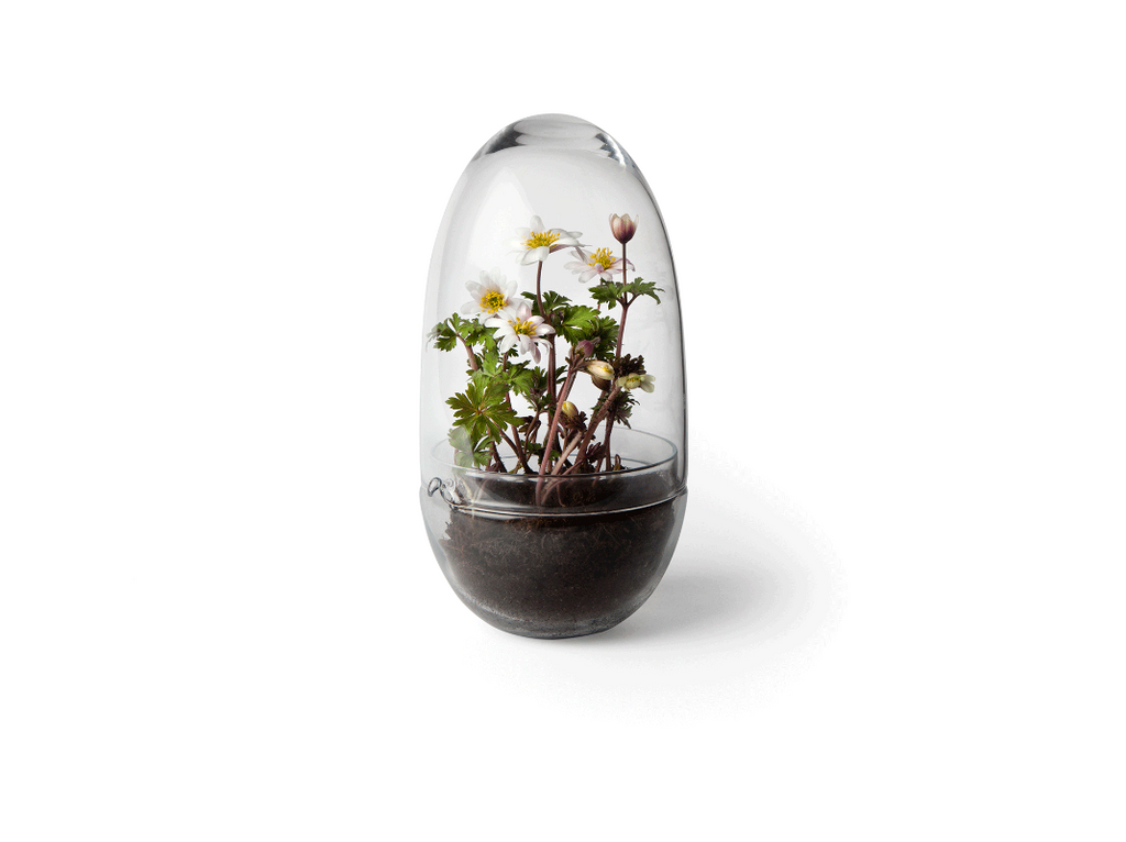 Caroline Wetterlings Grow is made of two glass parts. The bottom part holds the soil and the plant. The top part is a lid equipped with a spout, allowing it to be used as a watering can. It also functions as a valve that lets in air and regulates the moisture and temperature levels inside the greenhouse. Grow is made of hand