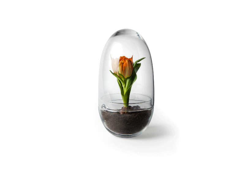 Caroline Wetterlings Grow is made of two glass parts. The bottom part holds the soil and the plant. The top part is a lid equipped with a spout, allowing it to be used as a watering can. It also functions as a valve that lets in air and regulates the moisture and temperature levels inside the greenhouse. Grow is made of hand