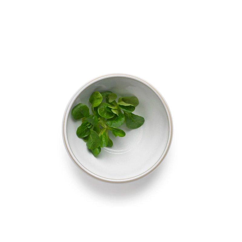Knabstrup Keramik's new Tavola Dish stoneware series of tableware in a modern and timeless style. Stoneware is a robust material that withstands intensive use, so the series is oven, freezer, microwave, and dishwasher safe. Sold as a set of 2.