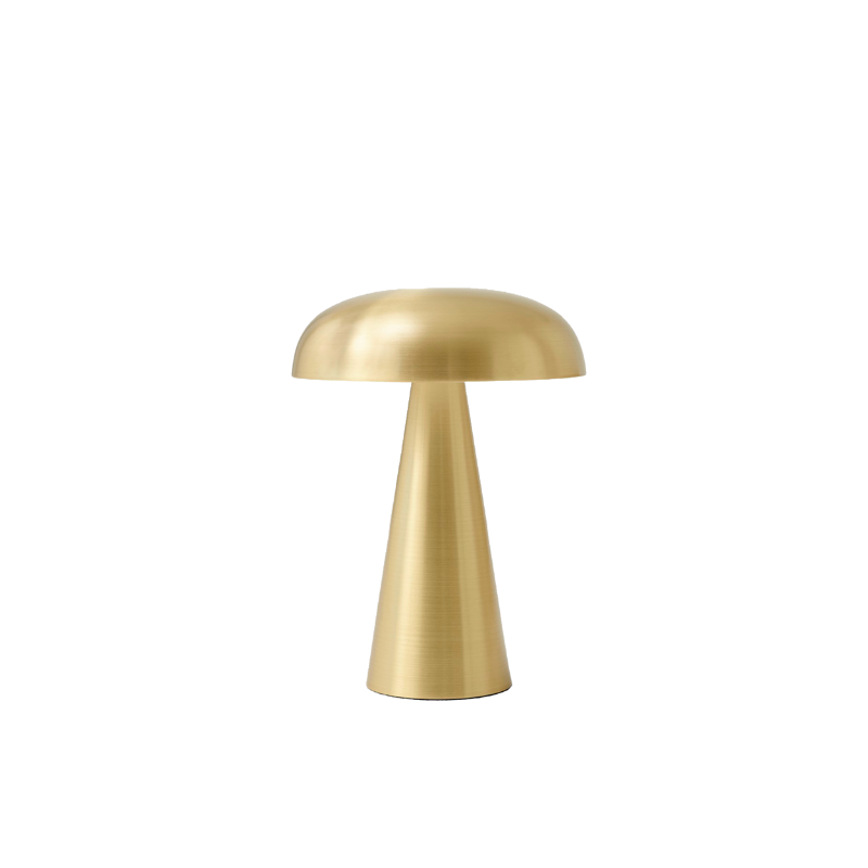 MUSHROOM LIGHT, BATTERY Powered Light, Desk Lamp, Unique Lamp